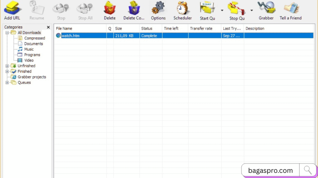  Internet Download Manager 