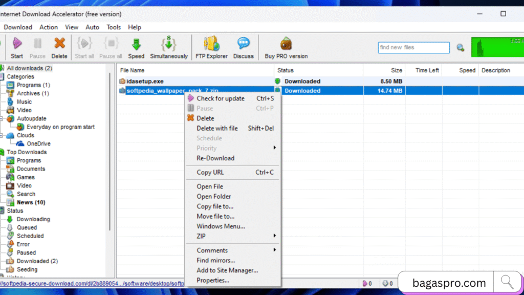  Internet Download Manager 